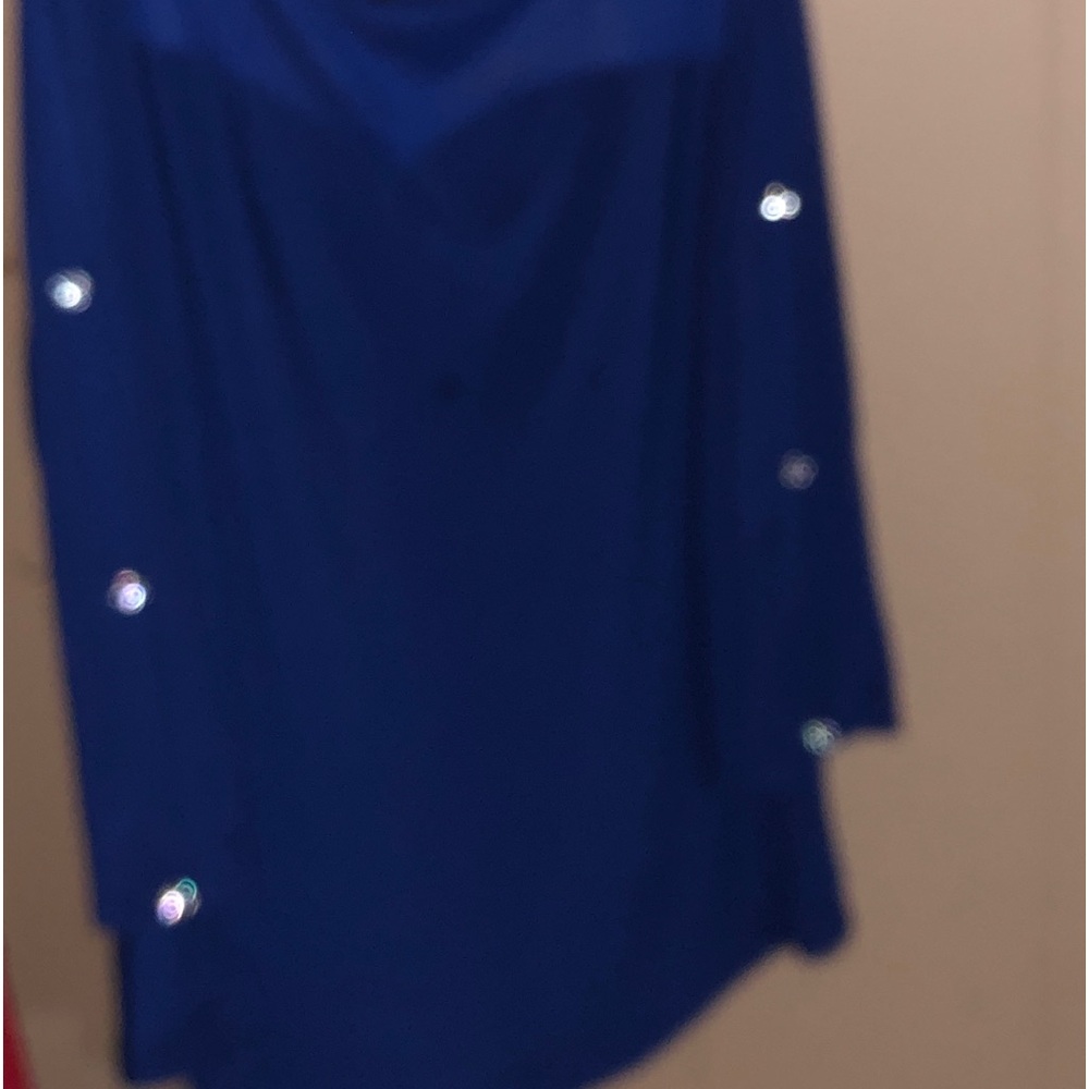 Blue size large sheer type shirt